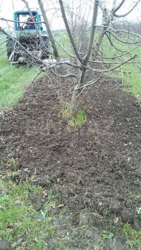 Satılır  torpaq 168 sot, photo 21 from 31