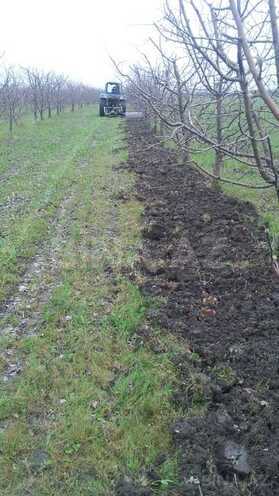 Satılır  torpaq 168 sot, photo 20 from 31