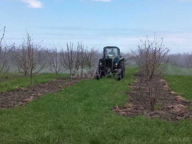 Satılır  torpaq 168 sot, photo 25 from 31