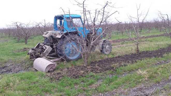 Satılır  torpaq 168 sot, photo 23 from 31