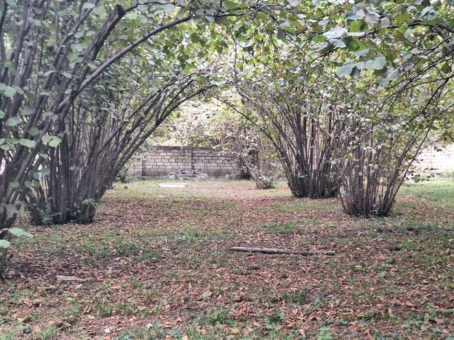 Satılır  torpaq 33 sot, photo 3 from 19