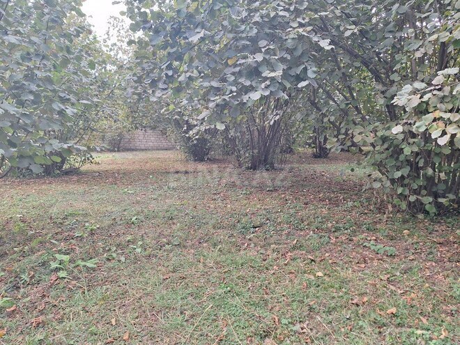 Satılır  torpaq 33 sot, photo 6 from 19