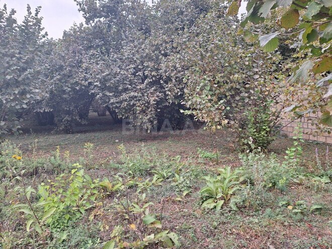 Satılır  torpaq 33 sot, photo 8 from 19