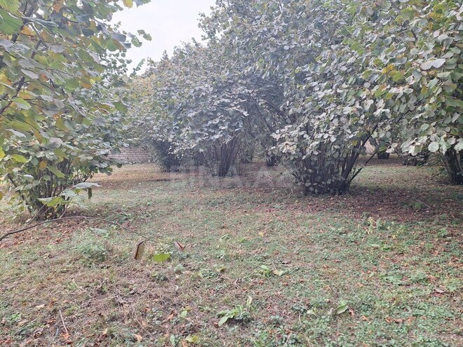 Satılır  torpaq 33 sot, photo 7 from 19