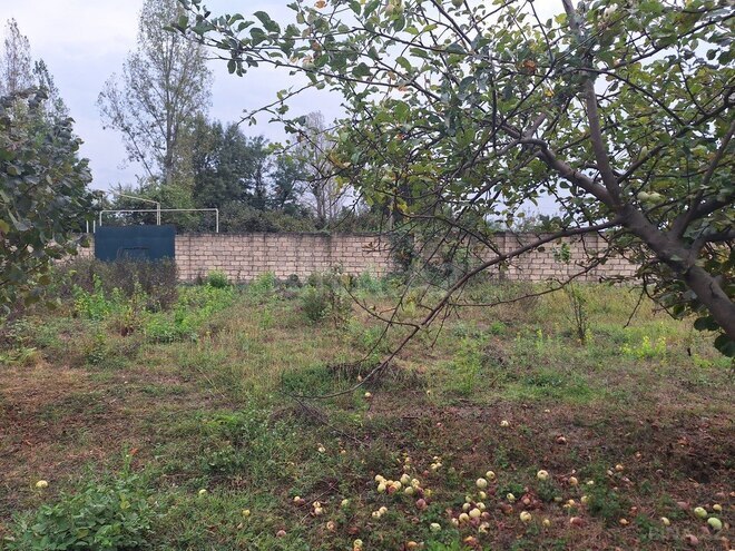 Satılır  torpaq 33 sot, photo 1 from 19