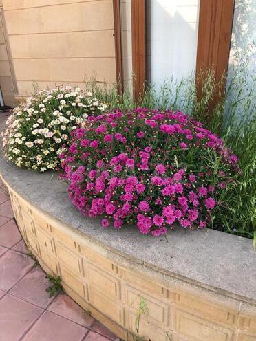 Продаётся 6-комн. дом/дача 340 м², пос. Шувеляны, photo 28 from 32