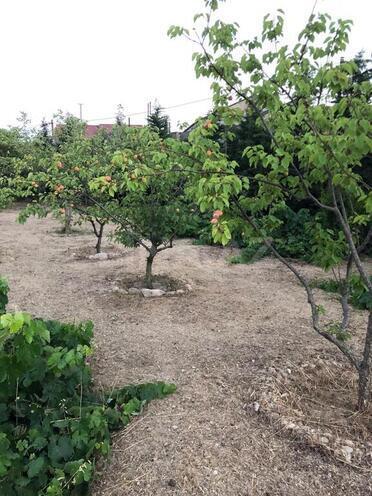 Продаётся 6-комн. дом/дача 340 м², пос. Шувеляны, photo 27 from 32