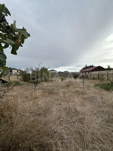 Продаётся  участок 14 сот, пос. Шувеляны, photo 4 from 21