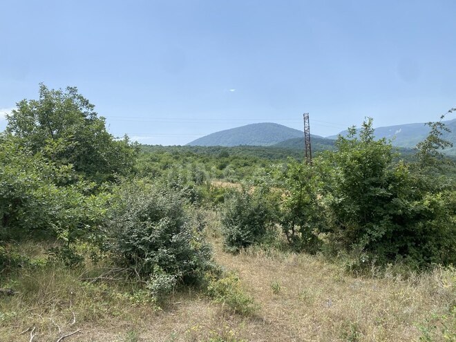 Satılır  torpaq 100 sot, photo 3 from 13