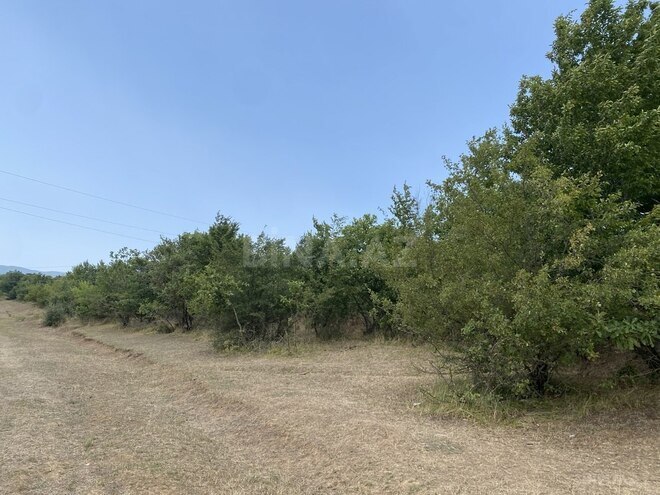 Satılır  torpaq 100 sot, photo 10 from 13