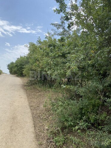 Satılır  torpaq 100 sot, photo 8 from 13