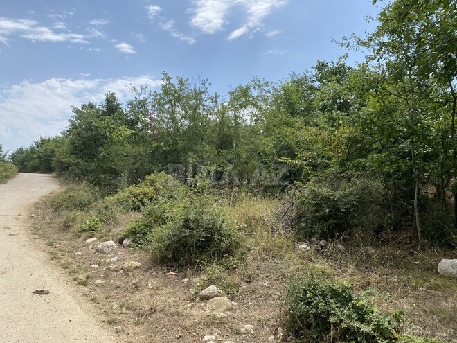 Satılır  torpaq 100 sot, photo 7 from 13