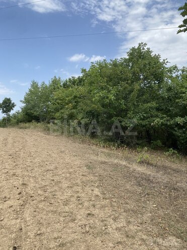 Satılır  torpaq 100 sot, photo 11 from 13