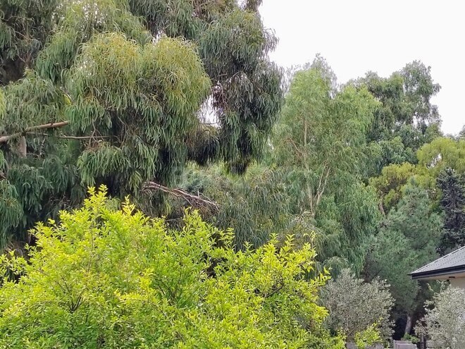 Satılır 11 otaqlı həyət evi/bağ evi 170 m², Nardaran q., photo 16 from 32