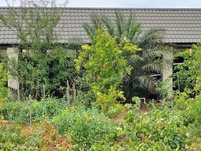 Satılır 11 otaqlı həyət evi/bağ evi 170 m², Nardaran q., photo 24 from 32