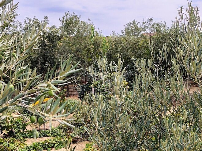 Satılır 11 otaqlı həyət evi/bağ evi 170 m², Nardaran q., photo 18 from 32