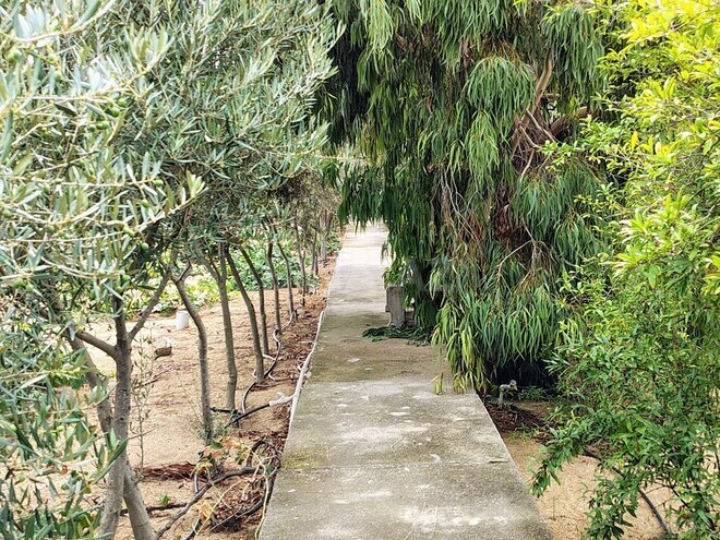 Satılır 11 otaqlı həyət evi/bağ evi 170 m², Nardaran q., photo 17 from 32