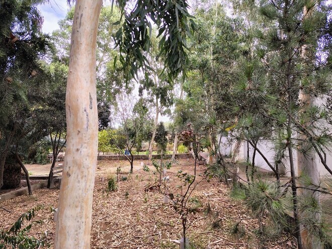 Satılır 11 otaqlı həyət evi/bağ evi 170 m², Nardaran q., photo 3 from 32