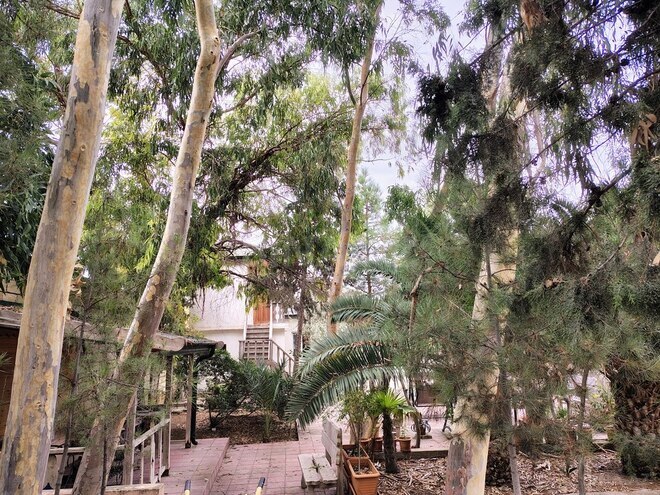 Satılır 11 otaqlı həyət evi/bağ evi 170 m², Nardaran q., photo 5 from 32