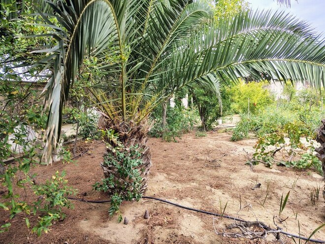 Satılır 11 otaqlı həyət evi/bağ evi 170 m², Nardaran q., photo 8 from 32