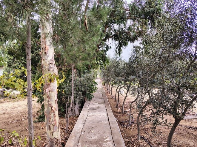 Satılır 11 otaqlı həyət evi/bağ evi 170 m², Nardaran q., photo 13 from 32