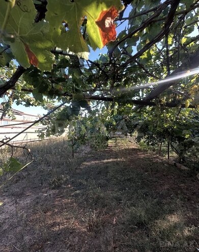 Продаётся  участок 6 сот, пос. Шувеляны, photo 11 from 18