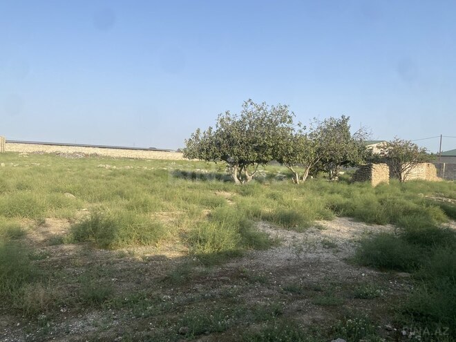 Продаётся  участок 60 сот, пос. Бузовна, photo 11 from 17