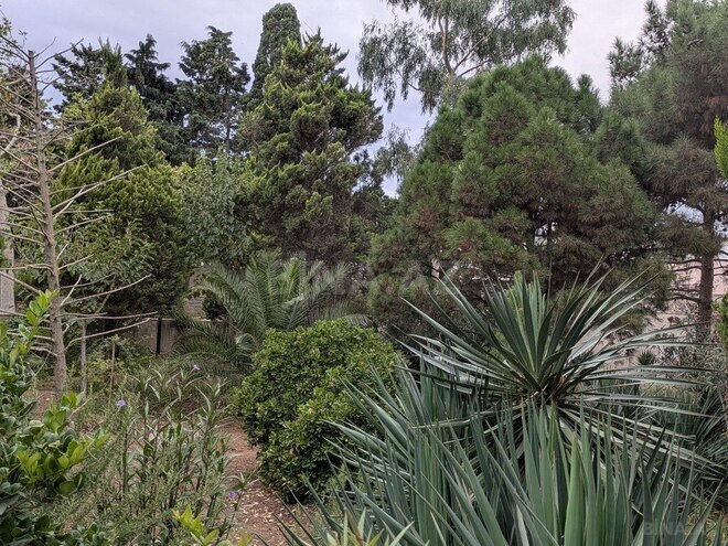 Satılır 5 otaqlı həyət evi/bağ evi 240 m², Nardaran q., photo 10 from 31