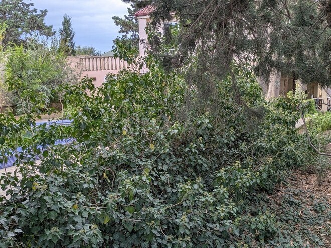 Satılır 5 otaqlı həyət evi/bağ evi 240 m², Nardaran q., photo 7 from 31