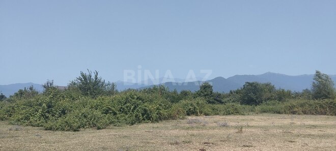 Satılır  torpaq 6 sot, photo 5 from 12