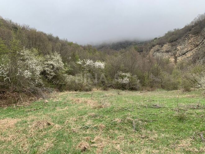 Продаётся  участок 12 сот, photo 3 from 11