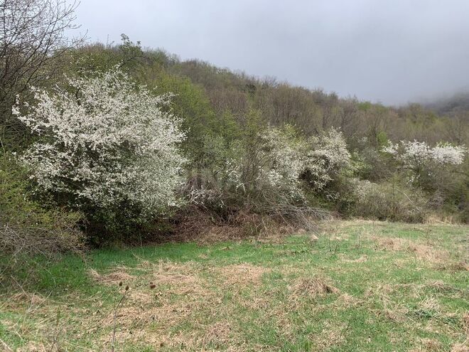 Продаётся  участок 12 сот, photo 9 from 11