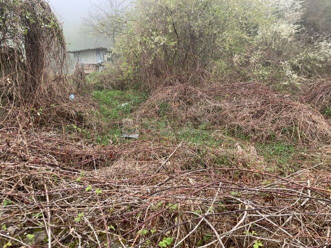 Satılır  torpaq 12 sot, photo 3 from 8