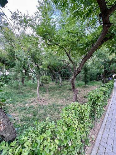 Satılır 3 otaqlı köhnə tikili 60 m², Həzi Aslanov m., photo 21 from 23