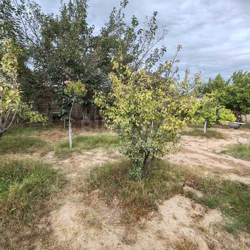 Satılır  torpaq 10 sot, Buzovna q., photo 19 from 21