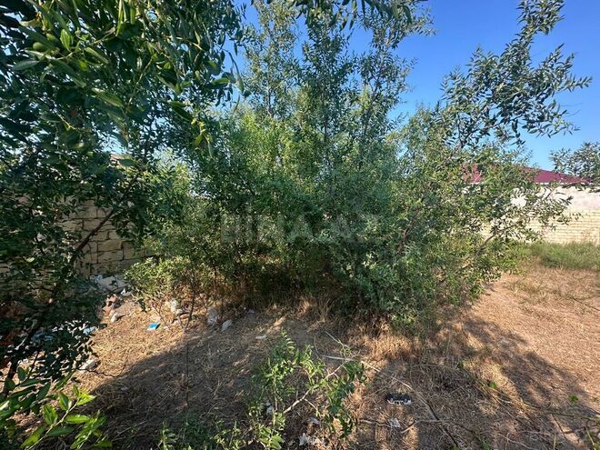 Satılır  torpaq 11 sot, Bilgəh q., photo 5 from 6