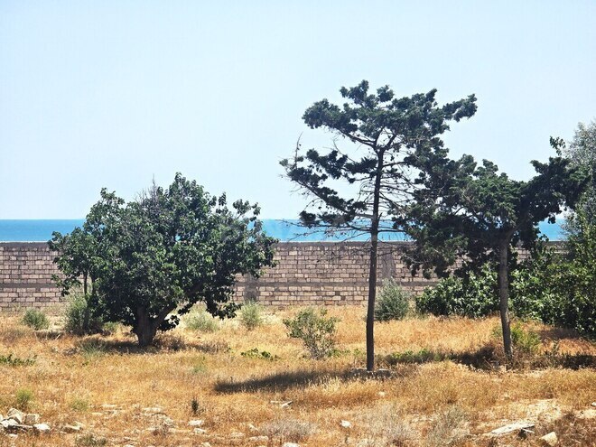 Satılır  torpaq 100 sot, Buzovna q., photo 5 from 28