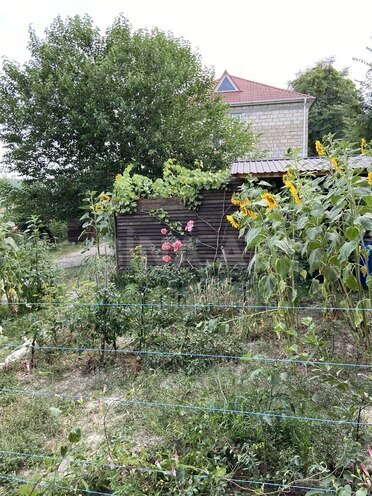 İcarəyə verilir 2 otaqlı həyət evi/bağ evi 90 m², photo 13 from 28