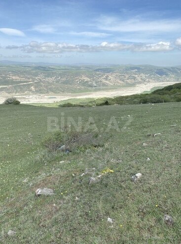 Satılır  torpaq 12 sot, photo 6 from 7