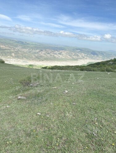 Satılır  torpaq 12 sot, photo 5 from 7