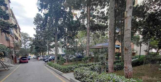 Продаётся 1-комн. вторичка 17 м², м. Азадлыг проспекти, photo 5 from 8