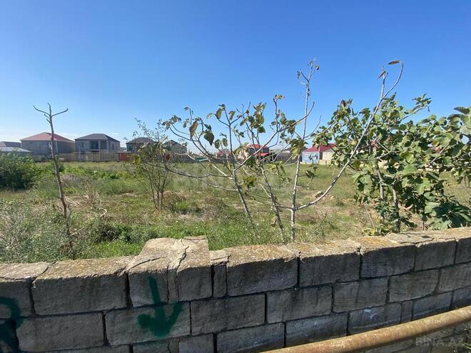 Satılır  torpaq 48 sot, Savalan q., photo 4 from 13