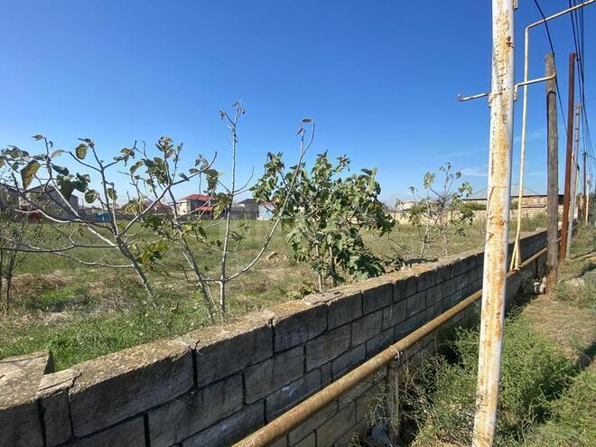 Satılır  torpaq 48 sot, Savalan q., photo 7 from 13