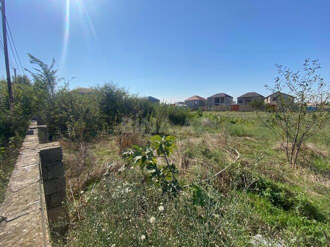 Satılır  torpaq 48 sot, Savalan q., photo 10 from 13