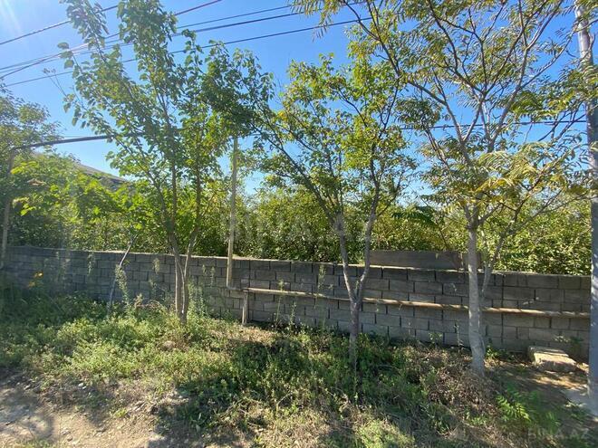 Satılır  torpaq 48 sot, Savalan q., photo 8 from 13