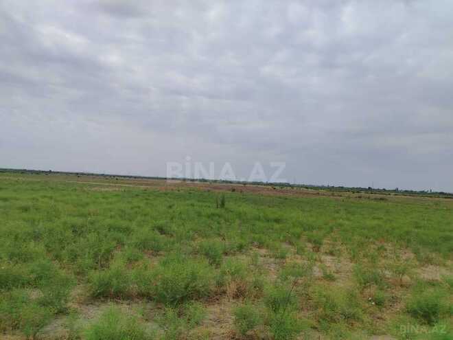 Продаётся  участок 1 073 сот, photo 5 from 9