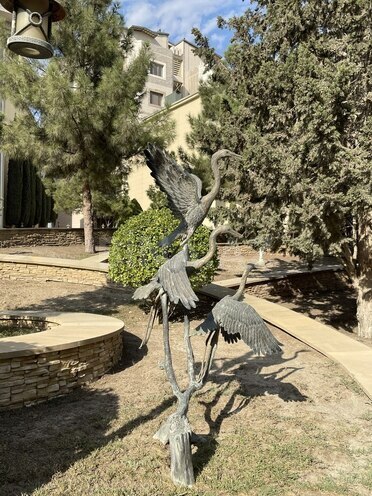 Satılır 3 otaqlı yeni tikili 160 m², Şıxov q., photo 5 from 16