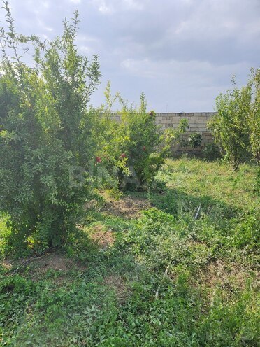 Продаётся  участок 8 сот, пос. Ашагы Гюздек, photo 6 from 10