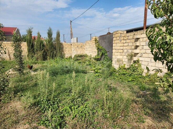 Продаётся  участок 8 сот, пос. Ашагы Гюздек, photo 5 from 10