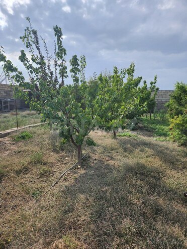 Продаётся  участок 8 сот, пос. Ашагы Гюздек, photo 8 from 10